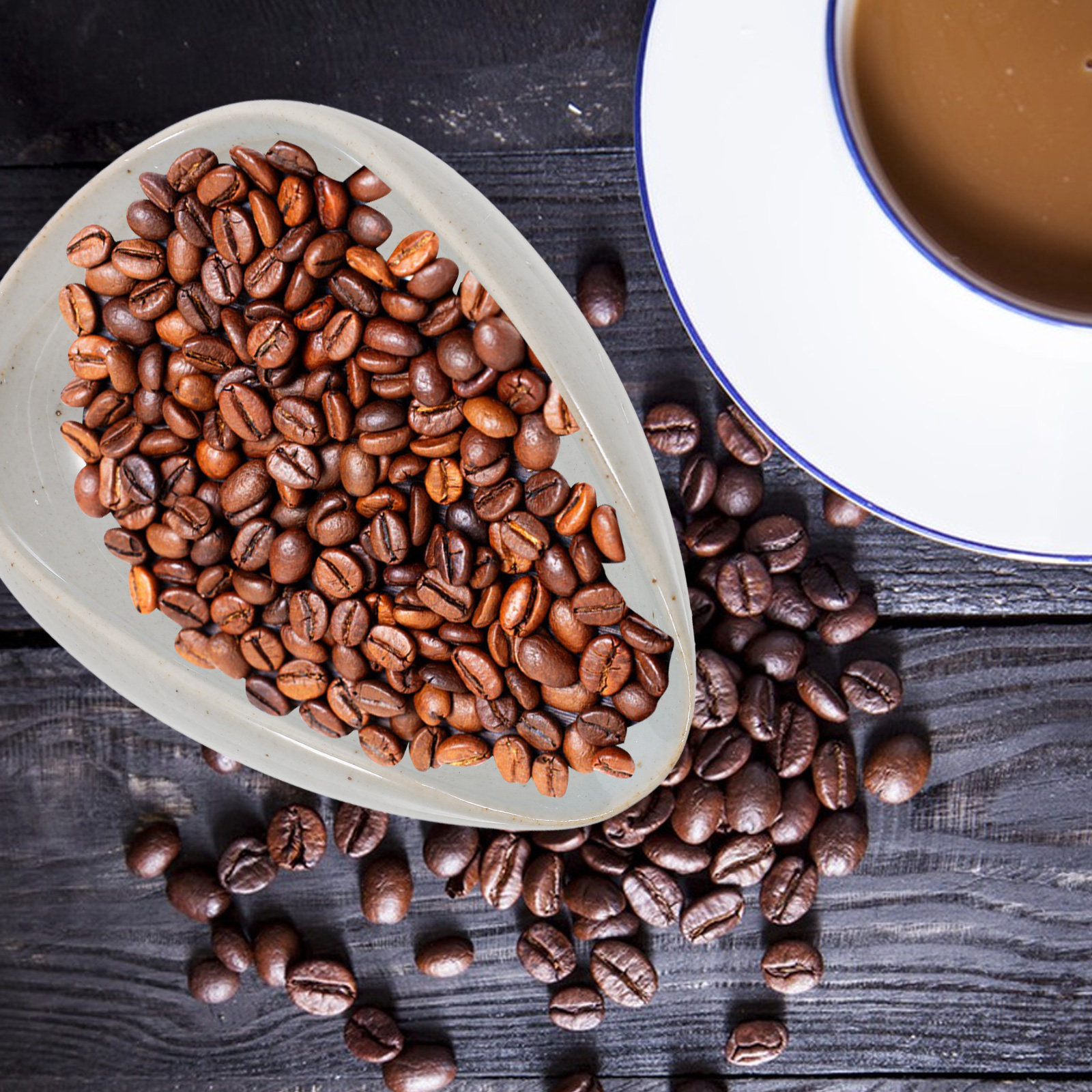 Bandeja Dosificadora de Café d - Coffee Tea Bean Leaf reseña y precio
