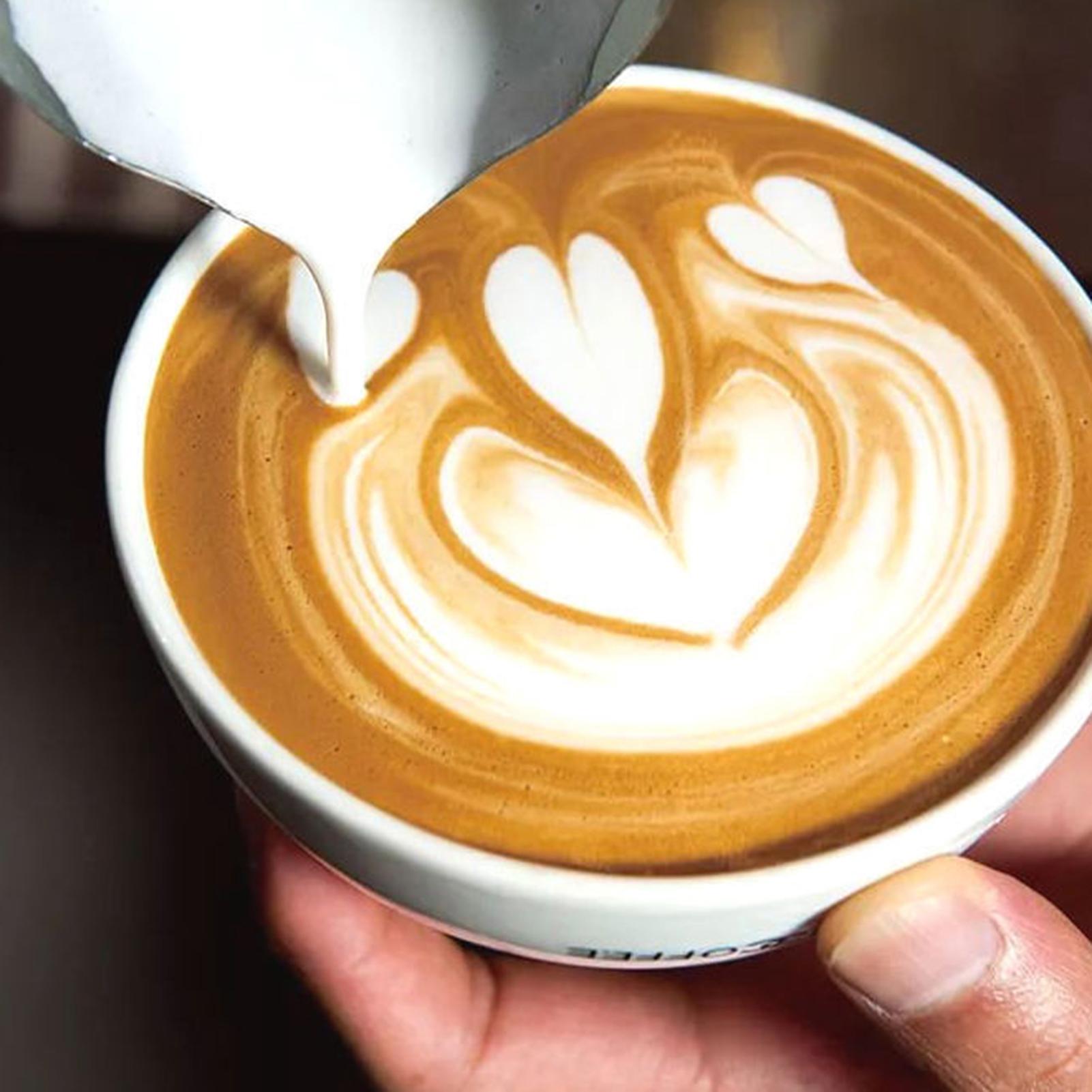 Cafetera Turca de 600 ml con B - Coffee Tea Brew reseña y precio