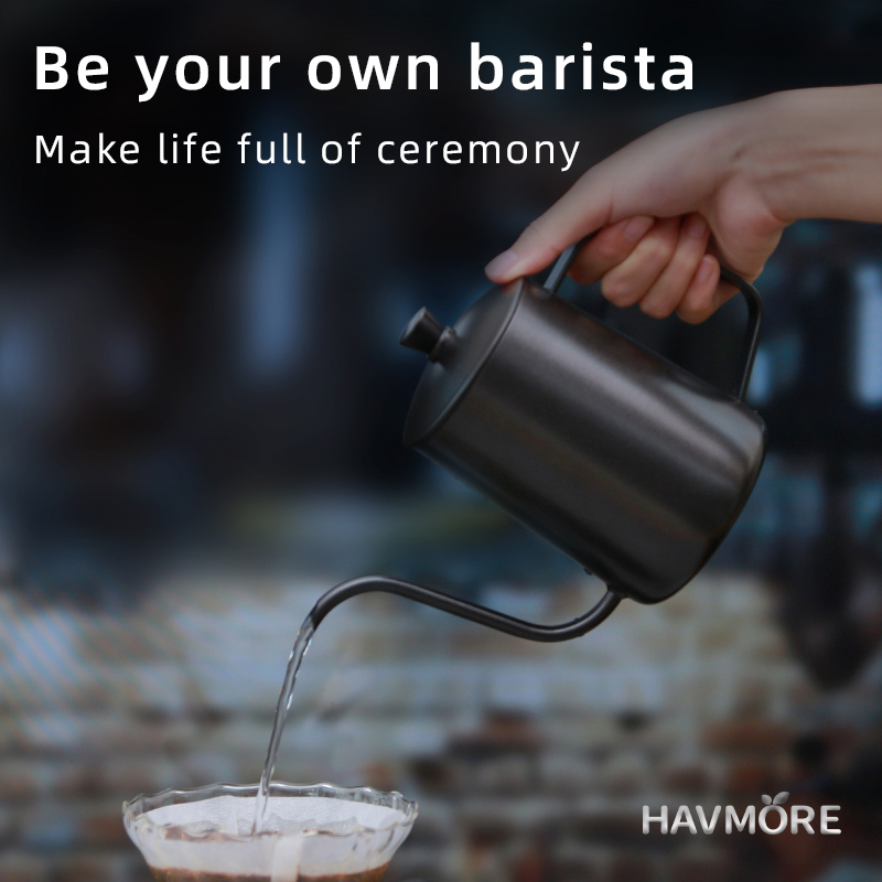 HAVMORE Tetera de acero inoxid - Coffee Tea Brew reseña y precio